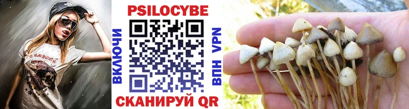 kraken маркетплейс  Урюпинск  Галлюциногенные грибы Psilocybe 