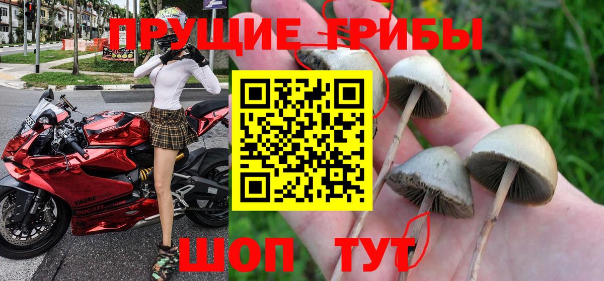 Галлюциногенные грибы мухоморы Урюпинск