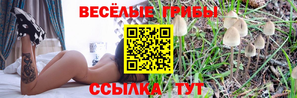 Урюпинск  Псилоцибиновые грибы Magic Shrooms  Вход с VPN 